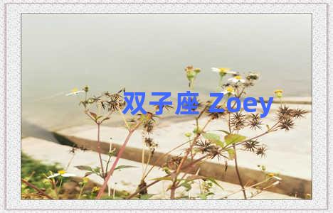 双子座 Zoey